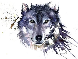 Sarah Stokes - Lobo de nieve - Arte de pared estampado en lona - 2 tallas disponibles - Imagen 1 de 3