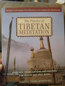 Dagsay Tulku Rinpoche-The Practice Of Tibetan Meditation BOOK NEW - Picture 1 of 2
