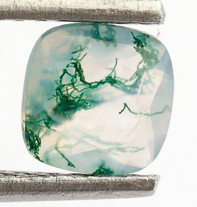 Tree Moss Agate Cushion Shape 0.50 Ct. Natural Gemstone Jewelry Supplies 5X5 mm