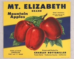 Vintage Mt. Elizabeth Mountain Apples Fruit Crate Label Twain Harte Tuolumne CA - Picture 1 of 3