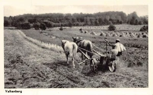 A101 Netherlands Valkenberg Farming Peasants Plow Horses vintage postcard - Picture 1 of 2