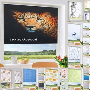 Rollo Motiv bunt Druck Muster Lichtschutz ohne Bohren Easyfix Seitenzug Klemmfix - Bild 1 von 57