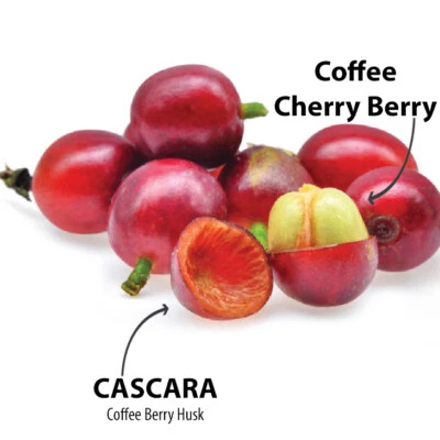 VILAR IMPORTS Costa Rica, Cascara Tea, Dried Coffee Fruit Berry / Cherry Tea - 4 oz Bag