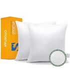 Pack Of 2 Premium Waterproof Pillows Inserts 20 X 20 Outdoor Decorative Throw...