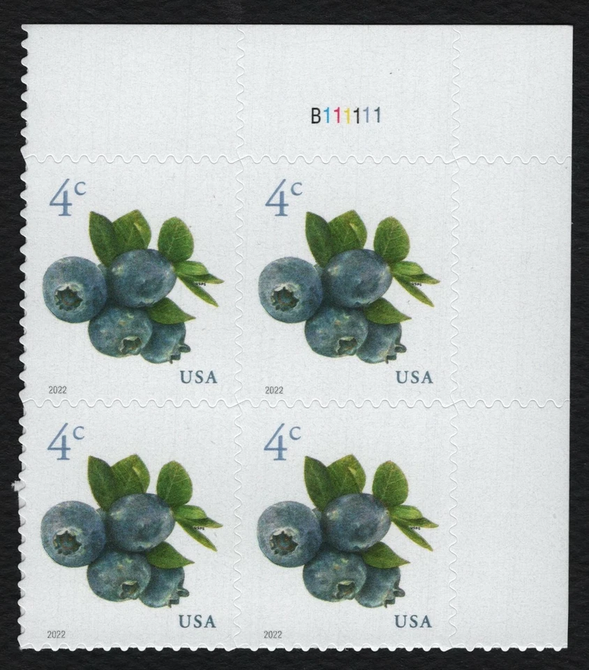 #5652 4c Blueberries, Plate Block [B111111 UR] Mint **ANY 5=FREE SHIPPING** - Image 1 of 1