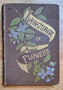 "The Language Of Flowers" 1884 Floral Poetry, Rare Illustrated Victorian Next DD - Picture 1 of 23