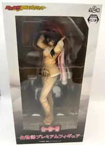 Nueva Figura Premium Bakemonogatari Tsubasa Hanekawa SEGA JAPÓN 2013 Envío Gratis JP - Imagen 1 de 2