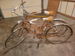 2 Antique Schwinn Bicycles - Picture 1 of 9