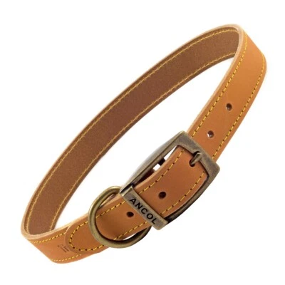 ANCOL COLLAR PERRO CUERO FUERTE 55 cm - 63 cm Gamuza Mostaza Sensación Mascota Cuello Banda Reino Unido Foto 1 de 4