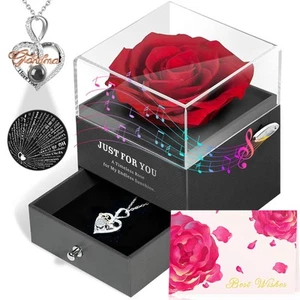 Rose Gifts for Grandma from Grandkids, Real Preserved Rose Box with Silver Gr... - Picture 1 of 9