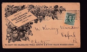 KNIGHT & BOSTWICK, NUSERYMEN 1904, NEW ARK, NUEVA YORK - Imagen 1 de 2