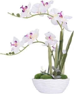 Large Artificial Potted Orchid Plant, Silk Flower Arrangement with Ceramics Vase - Picture 1 of 7