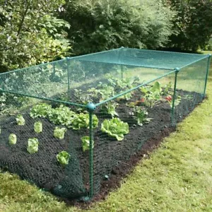 0.625m High Kit Garden Fruit Veg Cage Plant Protection with 20mm Bird Net - Picture 1 of 11