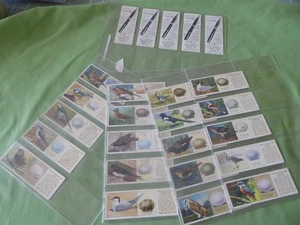 A FULL SET OF TYPHOO TEA CARDS - - BRITISH BIRDS AND THEIR EGGS - Picture 1 of 1