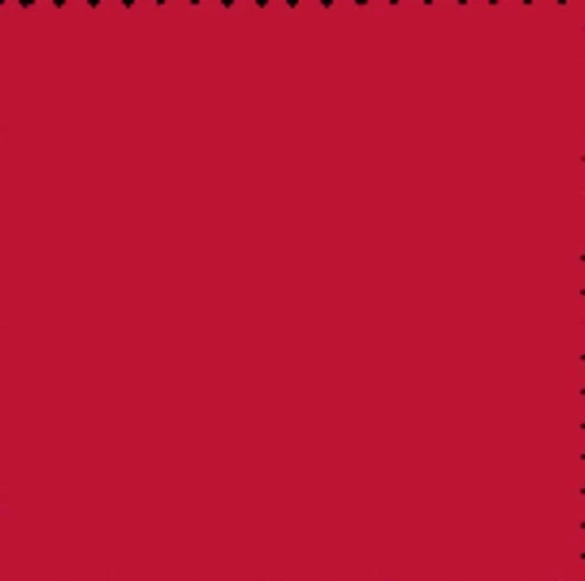RED NYLON 500 DENIER COATED CORDURA DWR FABRIC BY 1/2(0.5) YARD 60"W - Image 1 of 1