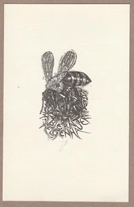 Exlibris - EDUARD ALBRECHT-HAGEN - For Bernt Felgenhauer - Signed - Insect-Bee - Picture 1 of 1