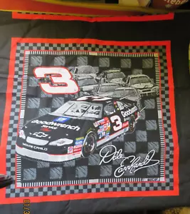 2002 NASCAR Dale Earnhardt #5632 Speedway Pillow Fabric Panel Spring Industry - Picture 1 of 6