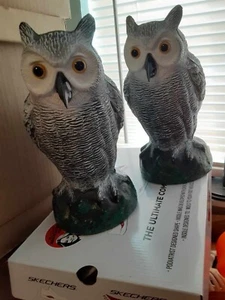 2 moldes de soplado de plástico de Halloween para búhos de 10" de alto control de plagas depredador nocturno - Imagen 1 de 5