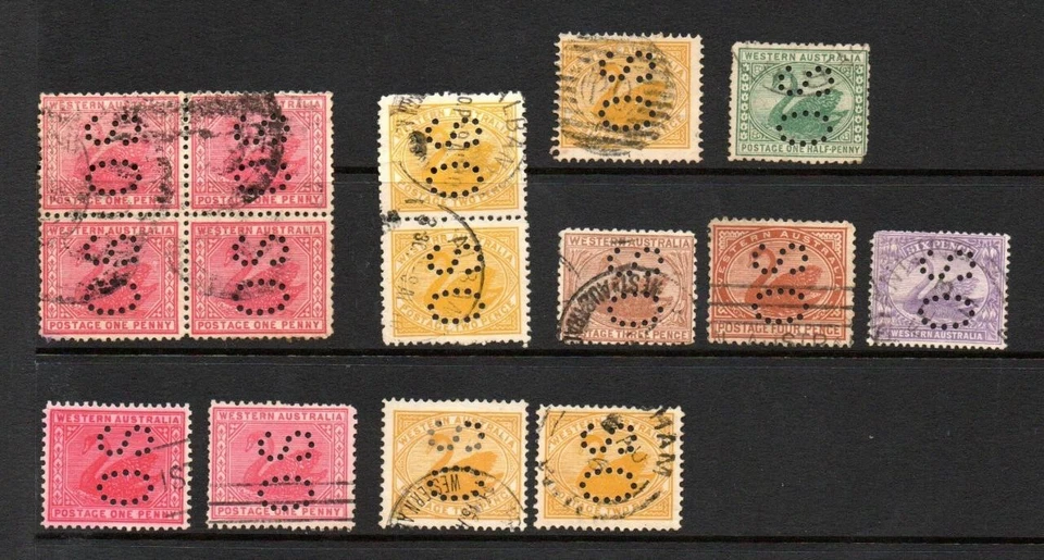 AUSTRALIA (AUSTRALIA OCCIDENTAL) USADO VARIOS CISNES 'OS' SELECCIÓN PERFIN Foto 1 de 1