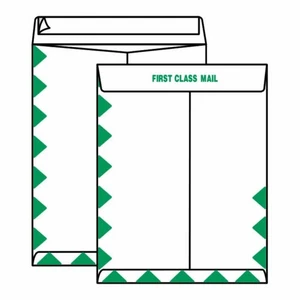 Open End First Class Tyvek Katalog Umschläge, 10" x 13", 14#, "First Class - Bild 1 von 1
