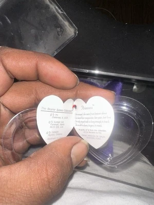 Juguete Ty Beanie Babies Princesa Oso Foto 1 de 2