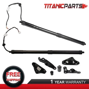 2PCS Rear Tailgate Power Hatch Lift Supports For 2014-2019 Toyota Highlander - Picture 1 of 12