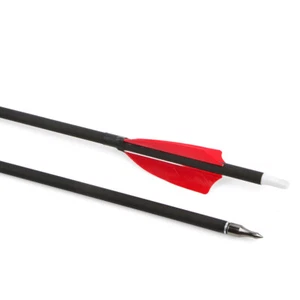 30" Carbon Arrow SP500 3" Feather Turkey Archery Recurve Bow CompoundBow Hunting - Picture 1 of 24