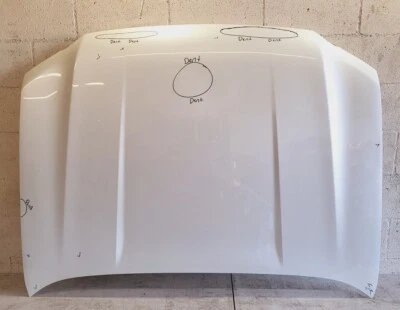 2010-2021 Lexus GX460 Hood bonnet shell panel OEM 53301-60640 - Image 1 of 4