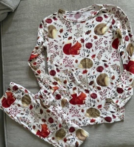 Posh Peanut viscose pajama top pants  7 years squirrel hedgehog leaves - Picture 1 of 6