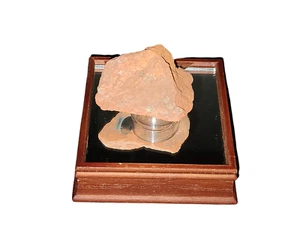 Authentic Piece of Boston Red Sox Fenway Park Steiner Authenticated Halo/COA - Picture 1 of 7