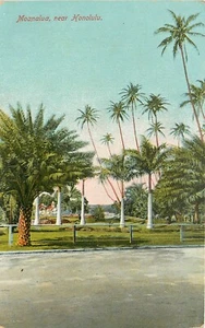 Postal C-1910 Hawaii Moanalua Honolulu Nichols & CO 24-6358 - Imagen 1 de 2