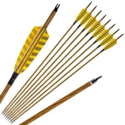 6/12pcs 31" Carbon Arrows Feather Compound Recurve Bow Hunting Target SP500  - Image 1 of 4