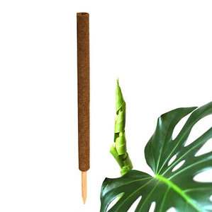 Pflanzstab Rankstab Kletterhilfe Kokos Stab für Pflanzen Monstera Rankhilfe 80cm - Bild 1 von 5