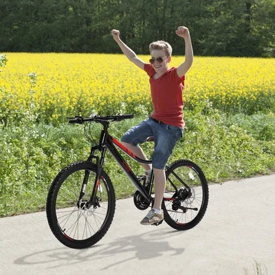 24 inch 21 Speed Mountain Bike Full Suspension Bicycle Disc Brake - Image 1 of 4