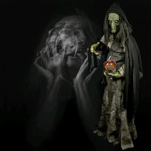 Halloween Witch Costume - Picture 1 of 3