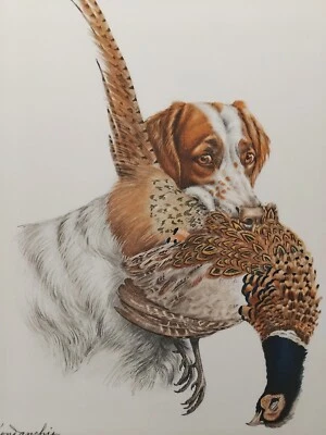 LEON DANCHIN EPAGNEUL BRETON FAISAN  LITHOGRAPHIE COULEURS CHASSE SIGNATURE NUM - Photo 1/4