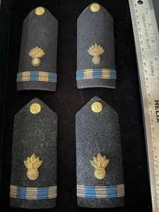 Us Navy Cwo Ordinance Technician Hard Shoulder Boards. 3931. Set Of Two - Picture 1 of 5