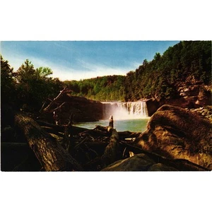 Cumberland Falls State Park Kentucky Vintage Postcard Natural Color Driftwood - Picture 1 of 2