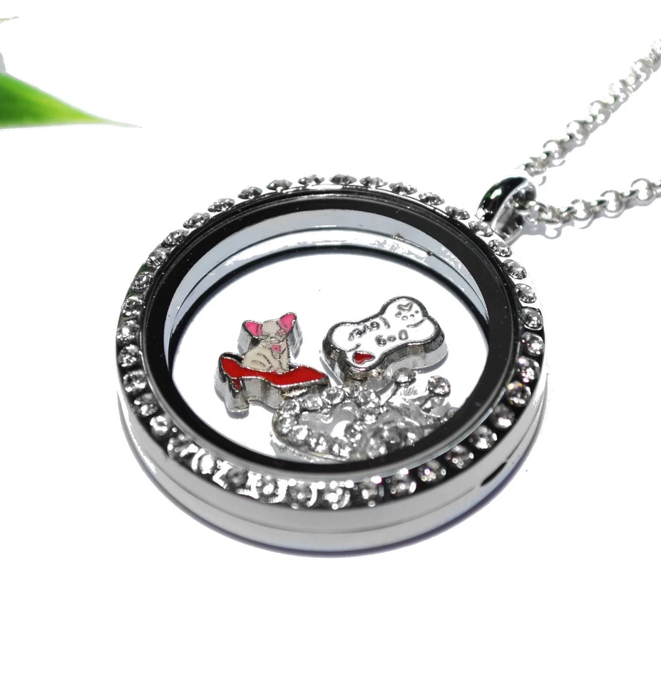 CHIHUAHUA + Medaillon Kette Anhänger Magnetverschluss FLOATING CHARMS Glas Hund - Bild 1 von 1