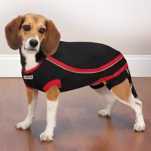 Camisa para perro reductora de ruido y trueno de Kong - Imagen 1 de 5