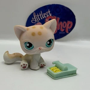 SHORTHAIR CAT #224 W/ Accessory - Authentic Littlest Pet Shop - Hasbro LPS - Picture 1 of 4