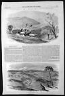 1857 Illustrated London News Antique Print Swan Valley & Kangaroo West Australia