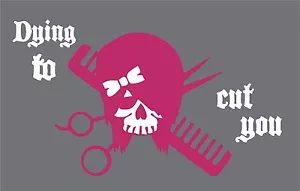 Hair Dye Skull Stylist Beauty Salon Car Truck Window 2 Color Vinyl Decal Sticker - Bild 1 von 2