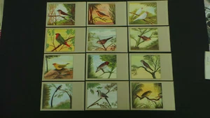Sluis Vogel Lebensmittel Vintage Postkarten SERIEN 5 KOMPLETT 12 STÜCK - Bild 1 von 1