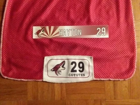 ARIZONA COYOTES Barrett Hayton #29 locker room nameplate from 2019-2020 season Cover