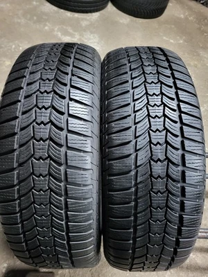 2x 205/65 R15 94H Sava Eskimo HP2,DOT 3118 mit 7mm Profil - Bild 1 von 4