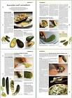 Avocados Cucumbers - Ingredients - Successful Cooking Eaglemoss - Recipe 2 Pages