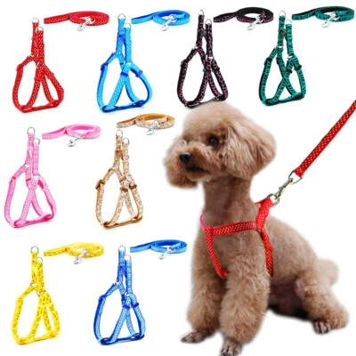Arnés de correa ajustable para perro gato pequeño chaleco collar cachorro al aire libre talla XS S M Foto 1 de 4