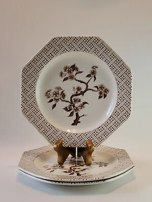 Juego de 3 platos de cena inocencia Royal Staffordshire England Ironstone 9,5" usados en excelente estado Foto 1 de 4