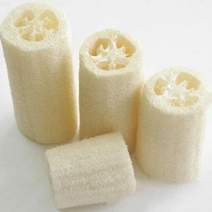 Fregadora 6 Piezas Esponja Esponja Natural Luffa Cocina Spa Baño Exótico Limpio - Imagen 1 de 9